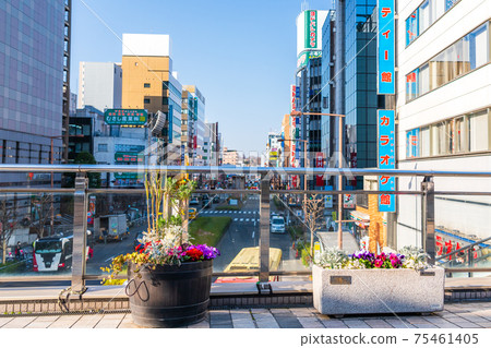 Spring Hachioji Station North Exit Scenery Mulberry Bridge Flowerbed Spring Hachioji Station North Exit Scenery Mulberry Bridge Flowerbed 75461405
