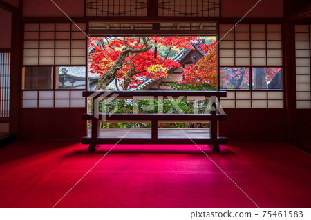 A photograph of the autumn precincts of Yanagidanikannon, Nagaokakyo City, Kyoto Prefecture A photograph of the autumn precincts of Yanagidanikannon, Nagaokakyo City, Kyoto Prefecture 75461583
