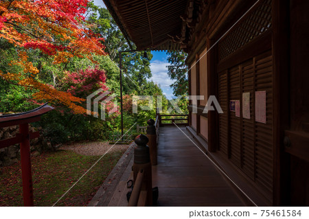 A photograph of the autumn precincts of Yanagidanikannon, Nagaokakyo City, Kyoto Prefecture A photograph of the autumn precincts of Yanagidanikannon, Nagaokakyo City, Kyoto Prefecture 75461584