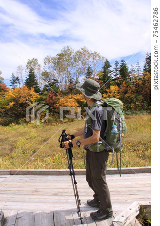 Climber (male) looking at the autumn moor, autumn leaves and autumn sky Photo location: Tsugaike Natural Garden (Nagano Prefecture) Climber (male) looking at the autumn moor, autumn leaves and autumn sky Photo location: Tsugaike Natural Garden (Nagano Prefecture) 75462786