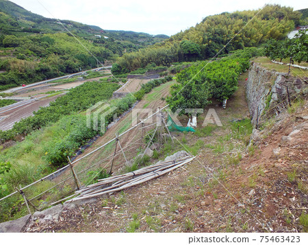 熊本的水稻梯田和田野和磚石建築(在岩峰山腳下,岩手觀音巴士站附近) 熊本的水稻梯田和田野和磚石建築(在岩峰山腳下,岩手觀音巴士站附近) 75463423