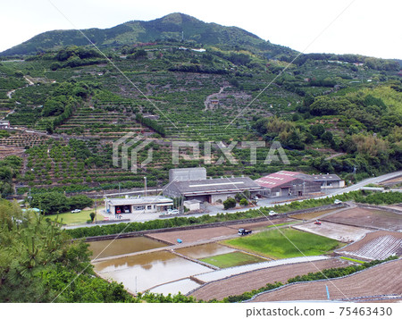 熊本的水稻梯田和田野和磚石建築(在岩峰山腳下,岩手觀音巴士站附近) 熊本的水稻梯田和田野和磚石建築(在岩峰山腳下,岩手觀音巴士站附近) 75463430