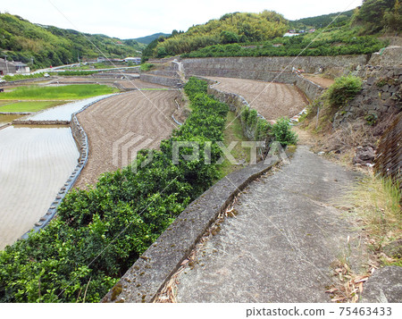 熊本的水稻梯田和田野和磚石建築(在岩峰山腳下,岩手觀音巴士站附近) 熊本的水稻梯田和田野和磚石建築(在岩峰山腳下,岩手觀音巴士站附近) 75463433