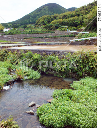 熊本的水稻梯田和田野和磚石建築(在岩峰山腳下,岩手觀音巴士站附近) 熊本的水稻梯田和田野和磚石建築(在岩峰山腳下,岩手觀音巴士站附近) 75463434