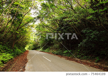 沖繩洋原路 沖繩洋原路 75464109