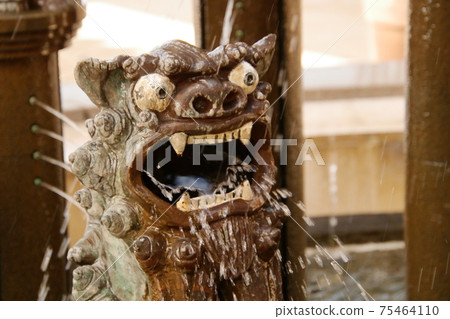 Shisa bathing in water Shisa bathing in water 75464110