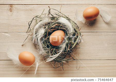 Easter natural colour eggs in basket with spring tulips, white feathers on wooden table background in Happy Easter decoration. Festive decoration in flat lay. Easter natural colour eggs in basket with spring tulips, white feathers on wooden table background in Happy Easter decoration. Festive decoration in flat lay. 75464647