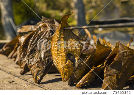 Fish processing plant. Freshly smoked fish. Smoked flounder, 75465345