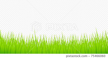 Watercolor green illustration. 3d vector background. Isolated vector icon. 3d grass for banner design. Watercolor green illustration. 3d vector background. Isolated vector icon. 3d grass for banner design. 75466060