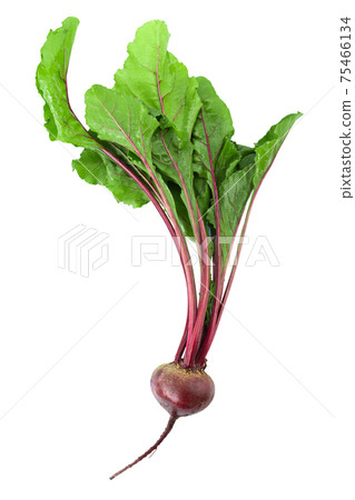 Red beet root with leaves isolated on white background. Healthy food concept. 75466134