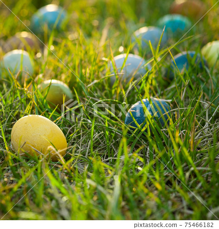 Multicolored Easter eggs on a green lawn in the garden Multicolored Easter eggs on a green lawn in the garden 75466182