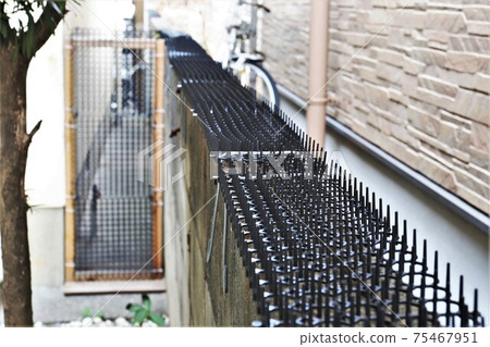 Cat repellent sheet installed on the block wall 75467951