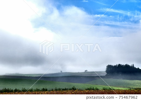 Scenery of Biei Hokkaido 75467962