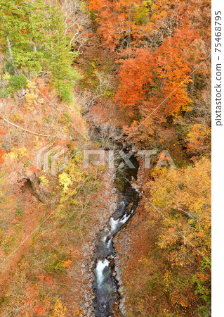 Nakatsugawa Valley in autumn colors (Fukushima Prefecture) Nakatsugawa Valley in autumn colors (Fukushima Prefecture) 75468795