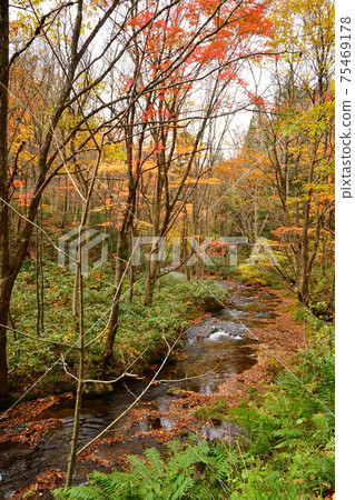 前往龍澤瀑布（福島縣）的步道 75469178