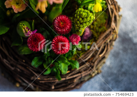 Nest interior spring composition Nest interior spring composition 75469423
