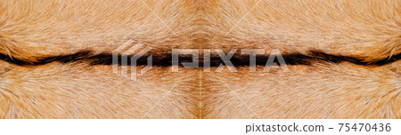 Natural real beige and brown goatskin texture 75470436