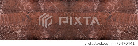 Ostrich leg leather brown isolated on a white background Ostrich leg leather brown isolated on a white background 75470441