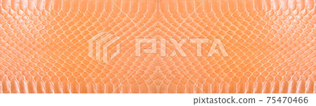 Natural snake skin is used for luxury clothes and accessories Natural snake skin is used for luxury clothes and accessories 75470466