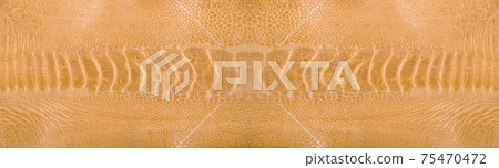 Ostrich leg leather beige isolated on a white background 75470472