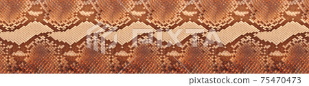 Natural snake skin is used for luxury clothes and accessories Natural snake skin is used for luxury clothes and accessories 75470473