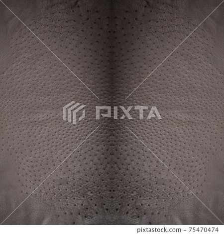 Background from a ostrich genuine leather gray 75470474
