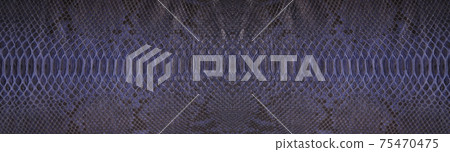 Natural snake skin is used for luxury clothes and accessories 75470475