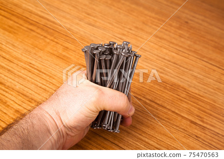 Metal iron pointed nail on walnut wood standing in hand, isolated on wooden background Metal iron pointed nail on walnut wood standing in hand, isolated on wooden background 75470563