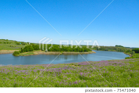 Panorama of the Village Lake with an island in the center. Summer vacation travel fishing 75471040