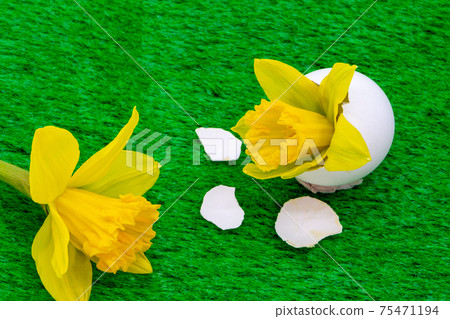 Decoration for Easter daffodil in an egg. Ornate template for greeting cards, postcards, posters. Decoration for Easter daffodil in an egg. Ornate template for greeting cards, postcards, posters. 75471194