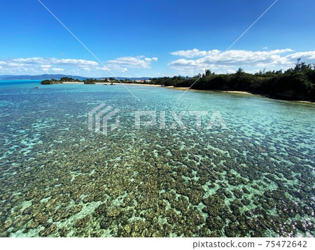 Superb view from Kouri Ohashi 75472642