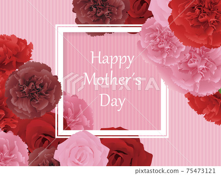Mother's Day carnation background material 75473121