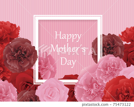 Mother's Day carnation background material 75473122