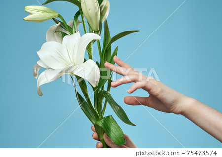 bouquet of white flowers on blue background and female hand cropped view 75473574