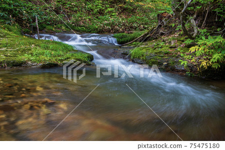 Scenery of the Sanru River in Shimokawa Town Scenery of the Sanru River in Shimokawa Town 75475180