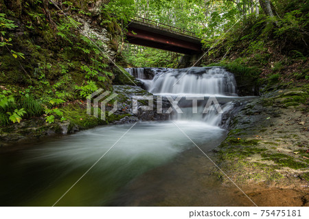 Scenery of the Sanru River in Shimokawa Town Scenery of the Sanru River in Shimokawa Town 75475181