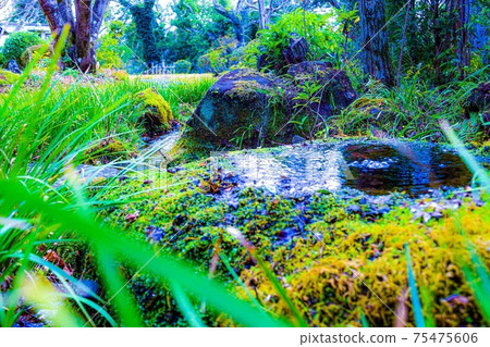 日本庭園 日本庭園 75475606