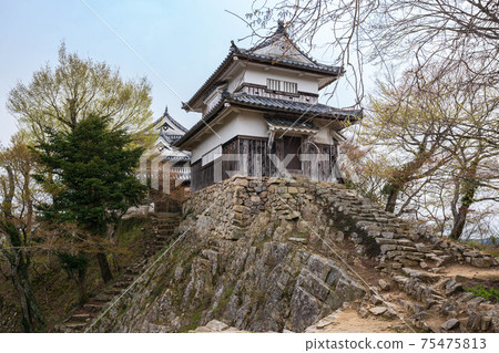 Bikanaku Matsuyama castle double oar Bikanaku Matsuyama castle double oar 75475813