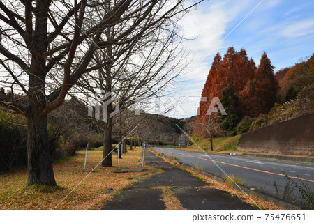 A scene near the entrance of a golf course in Iwaki City # 2 75476651