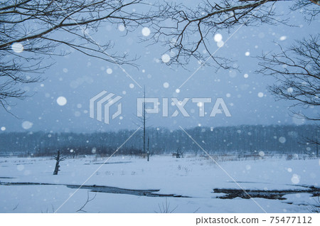 Snowy plains, round bokeh with strobe, ball bokeh 75477112
