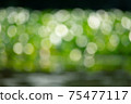 The leaves of the fresh green tree shine and become a round bokeh 75477117