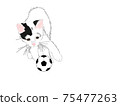 Cat and soccer ball 75477263