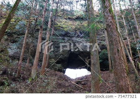Kamishikimi Kumanoza神社的刺入岩石 75477321