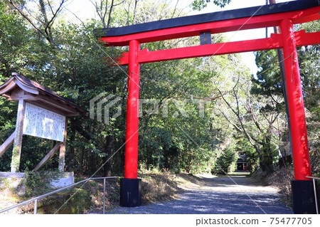 Kimotsuki Town Kawakami Shrine Torii Kimotsuki Town Kawakami Shrine Torii 75477705