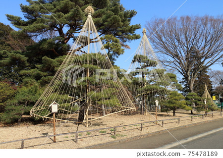 Matsudo City, Chiba Prefecture Northern and Southern Yukitsuri Matsudo City, Chiba Prefecture Northern and Southern Yukitsuri 75478189