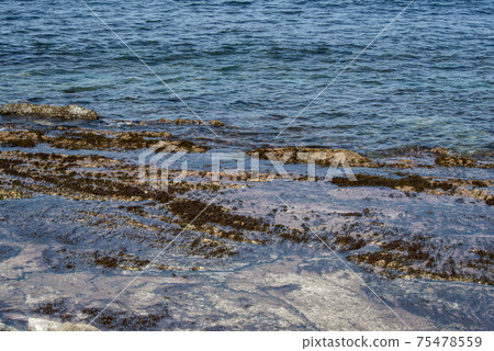 Izumo City Kawashimo Coastline (Shimane Prefecture) 75478559