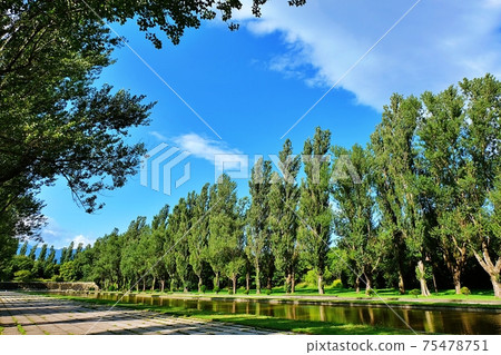 Maeda Forest Park 75478751