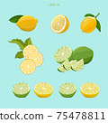 Hand drawn lemon illustration vector 75478811