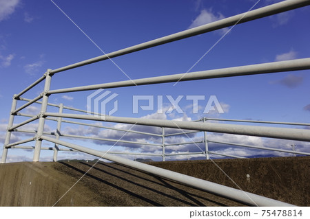 Tsunami evacuation 75478814