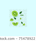 Hand drawn kiwi fruit illustration vector illustration 75478922
